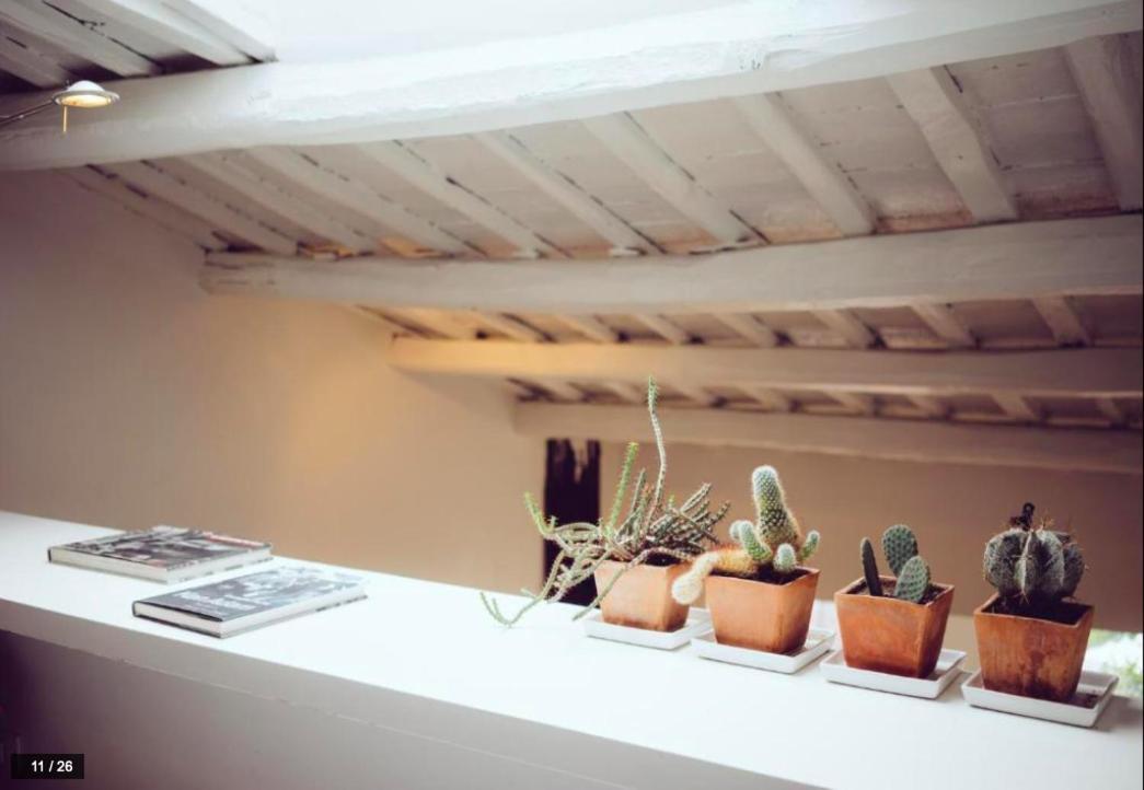Luxury Art Apartment In Trastevere With Terrace Roma Dış mekan fotoğraf
