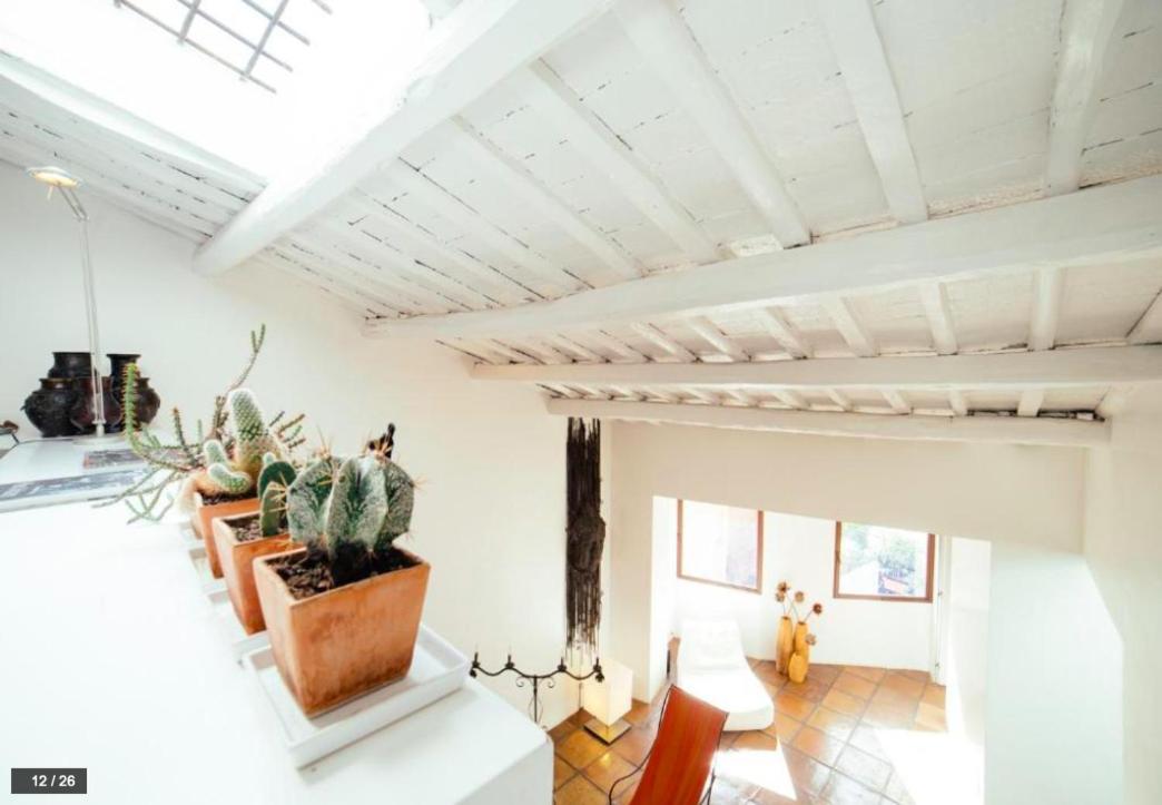 Luxury Art Apartment In Trastevere With Terrace Roma Dış mekan fotoğraf